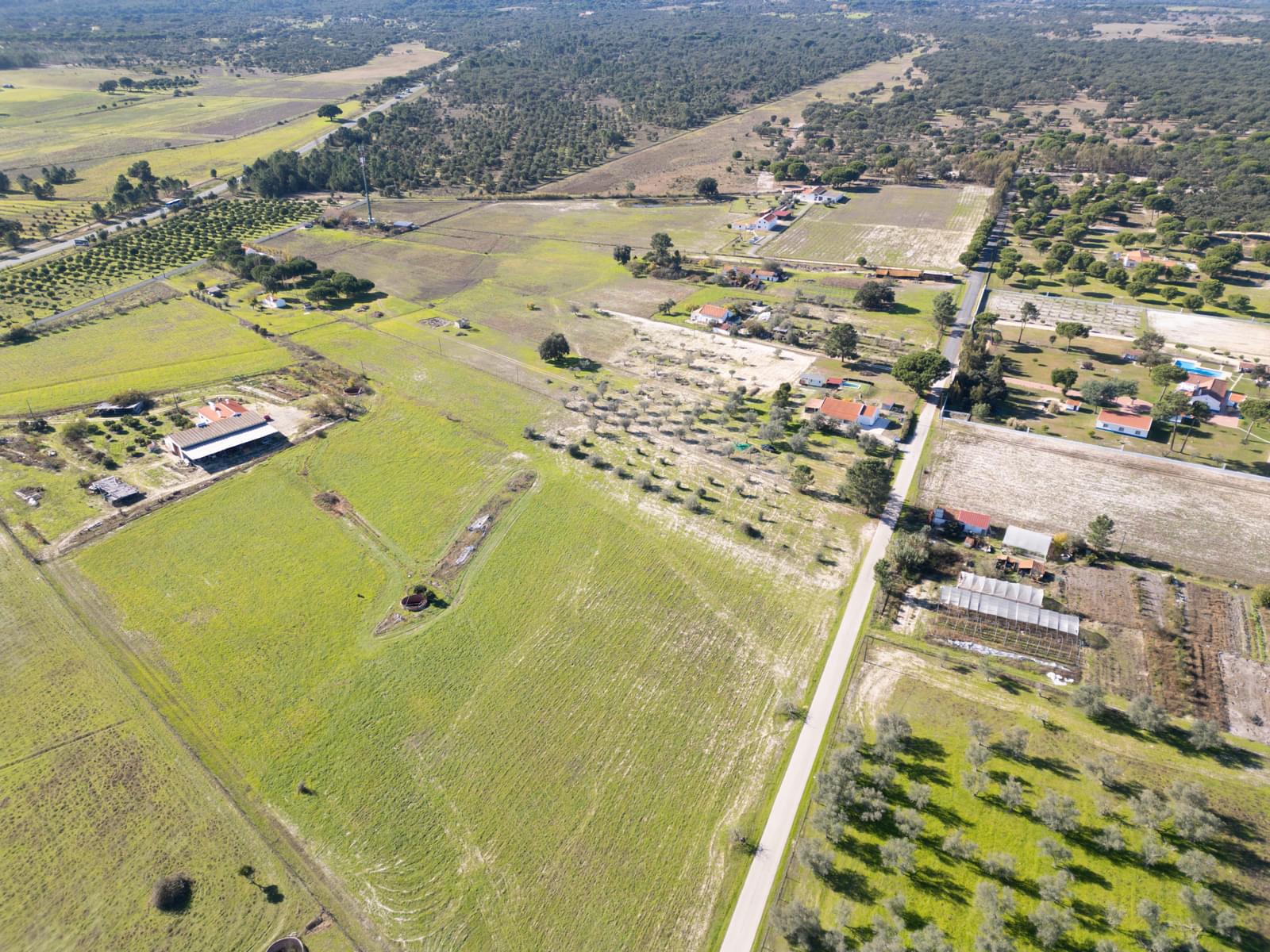 Mixed land 1.2 ha, Grandola - Image 17