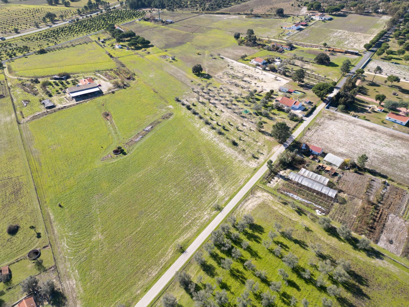 Mixed land 1.2 ha, Grandola - Image 18