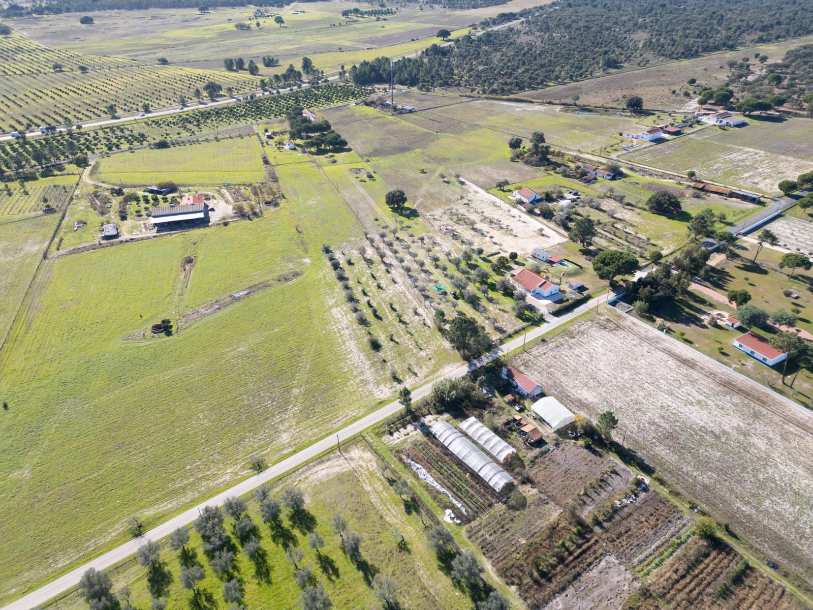 Mixed land 1.2 ha, Grandola - Image 19