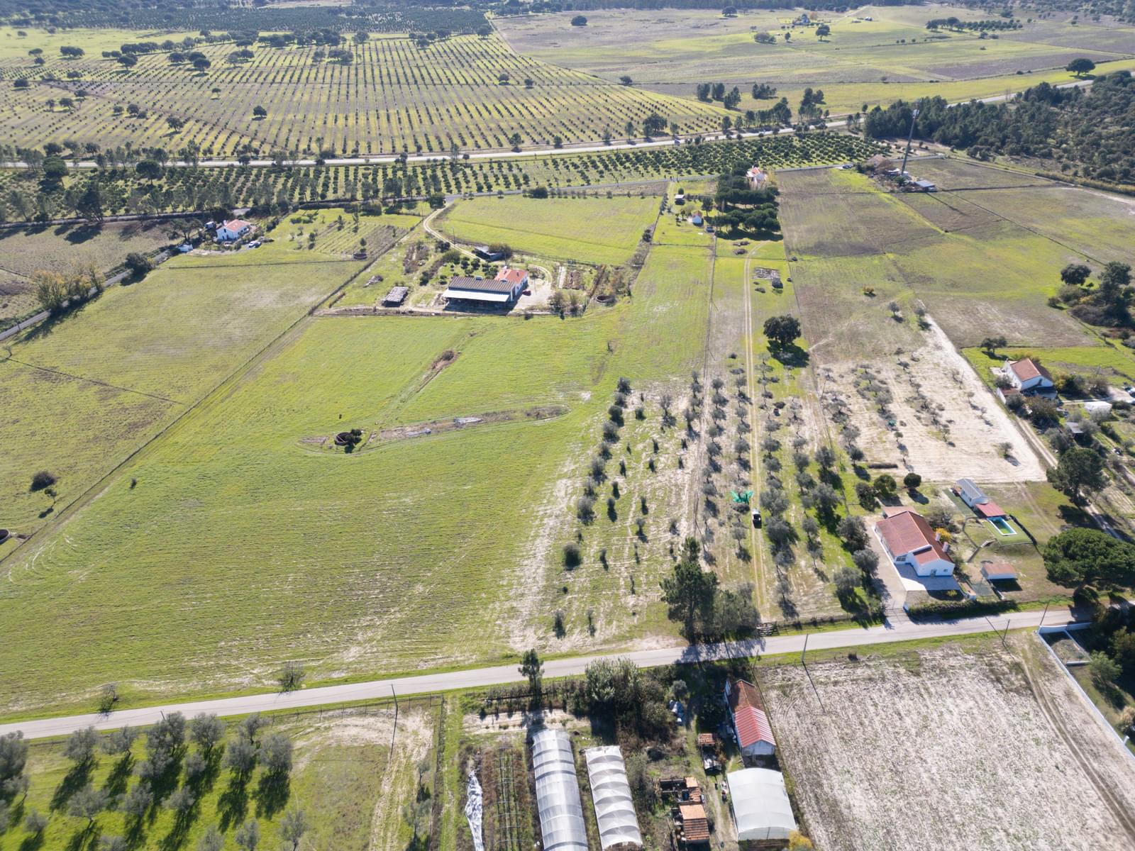Mixed land 1.2 ha, Grandola - Image 20