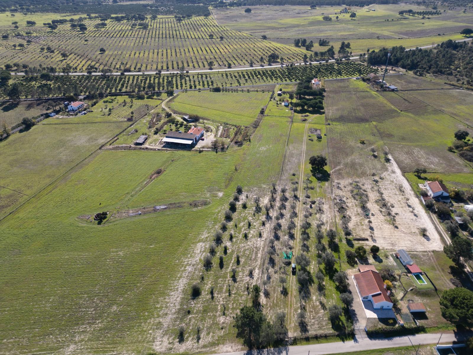 Mixed land 1.2 ha, Grandola - Image 21