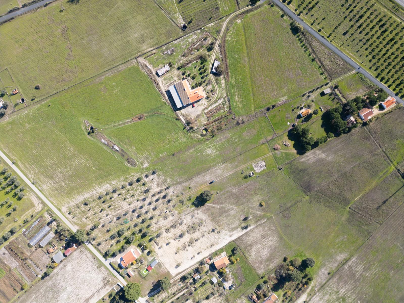 Mixed land 1.2 ha, Grandola - Image 23