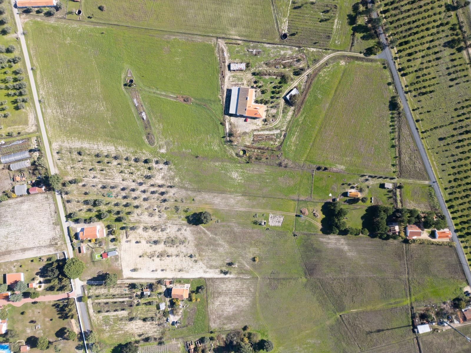 Mixed land 1.2 ha, Grandola - Image 22