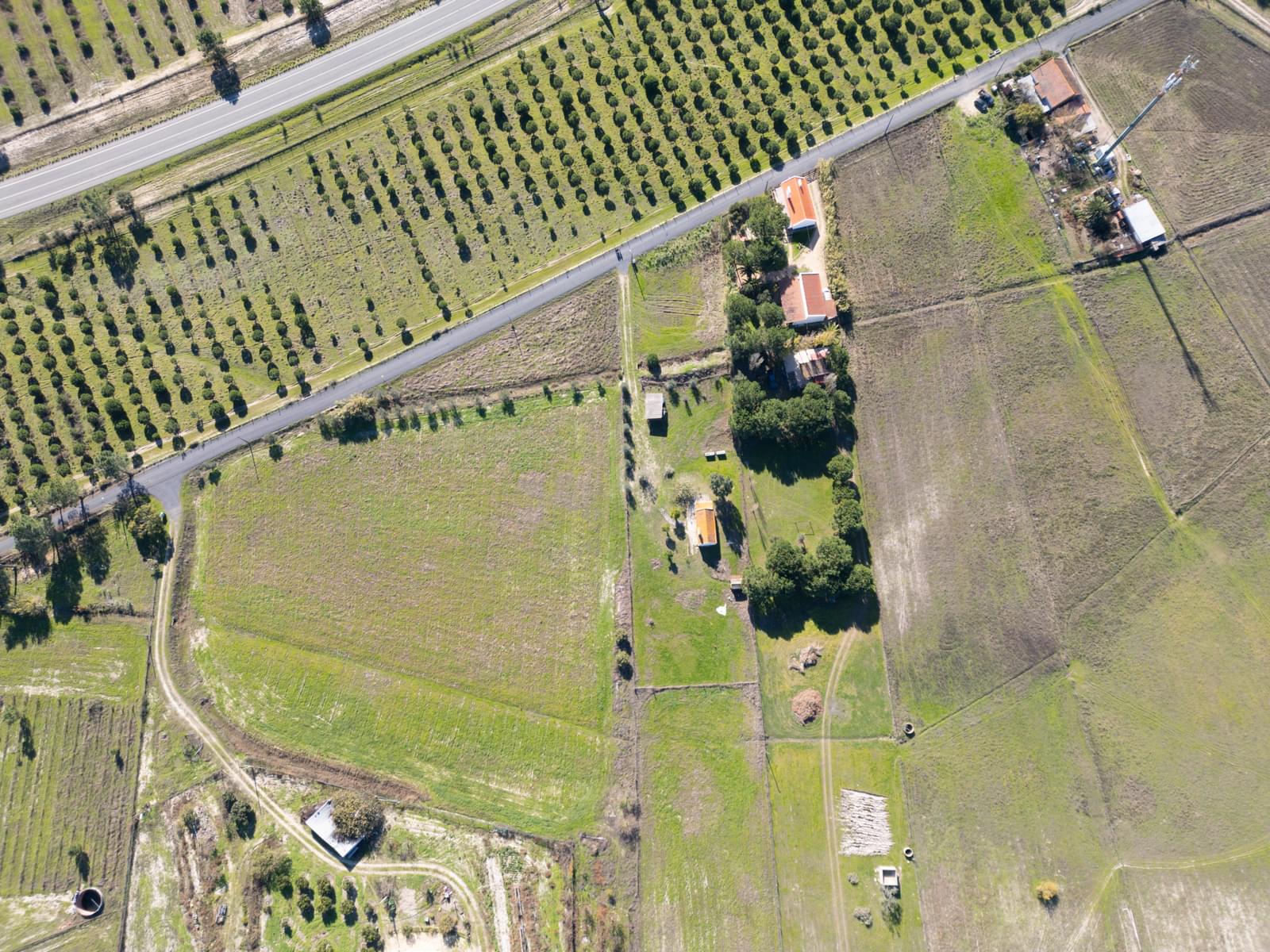 Mixed land 1.2 ha, Grandola - Image 24