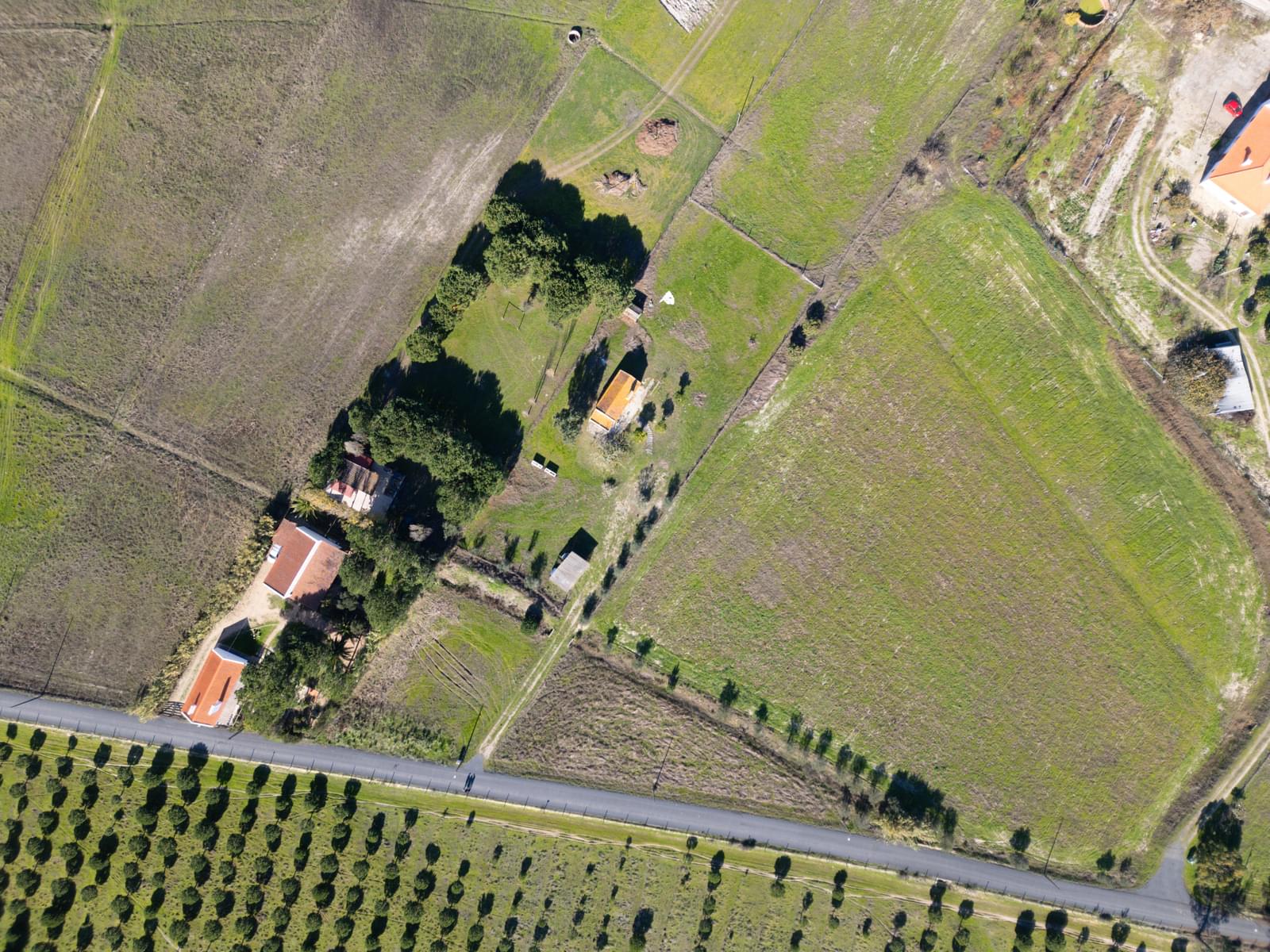 Mixed land 1.2 ha, Grandola - Image 25