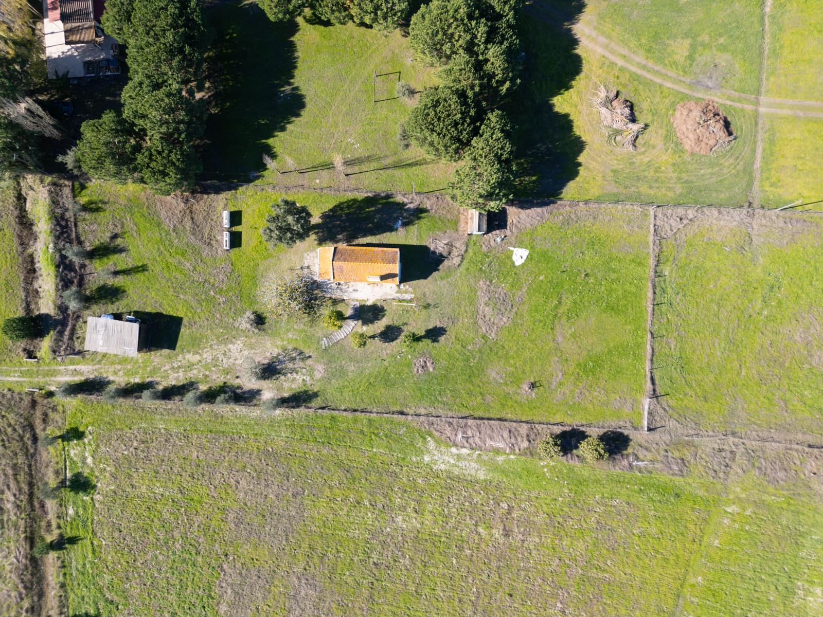 Mixed land 1.2 ha, Grandola - Image 8