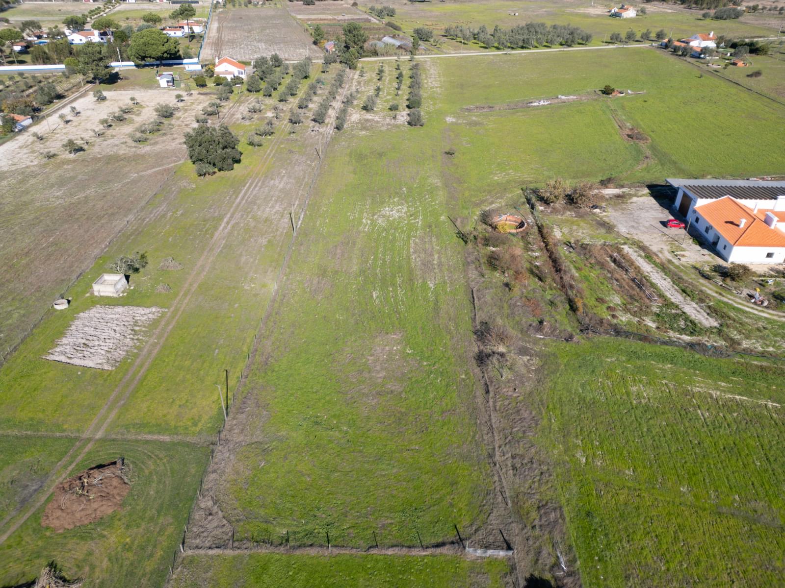 Mixed land 1.2 ha, Grandola - Image 7