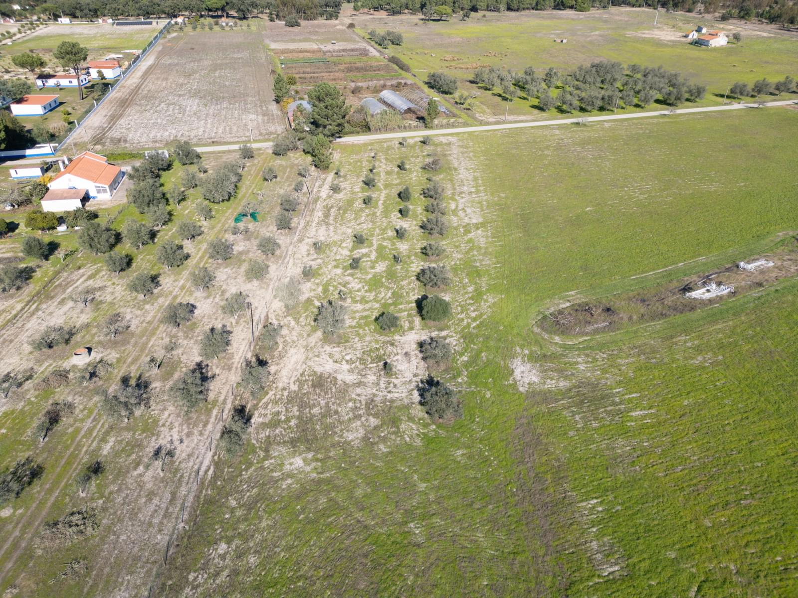 Mixed land 1.2 ha, Grandola - Image 6