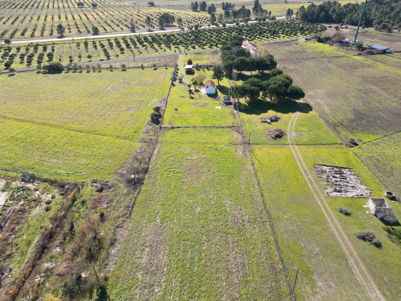 Mixed land 1.2 ha, Grandola - Image 9