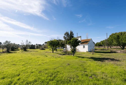 PF39047 - Mixed land 1.2 ha, Grandola
