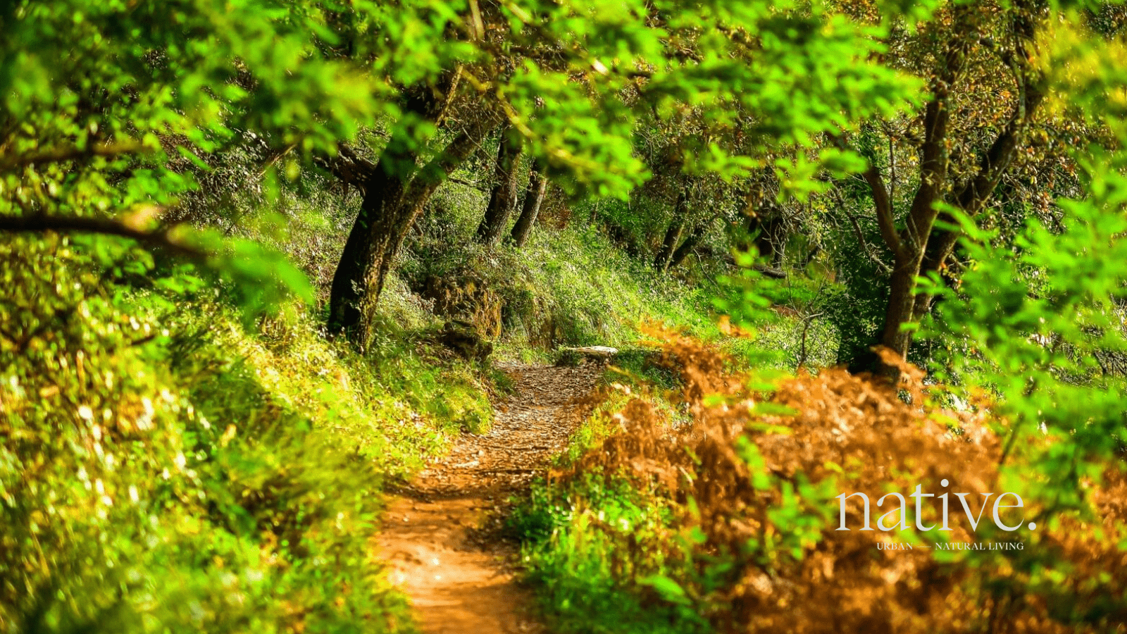 Apartamento T2 com estacionamento, Belas Clube de Campo, Sintra - Imagem 14