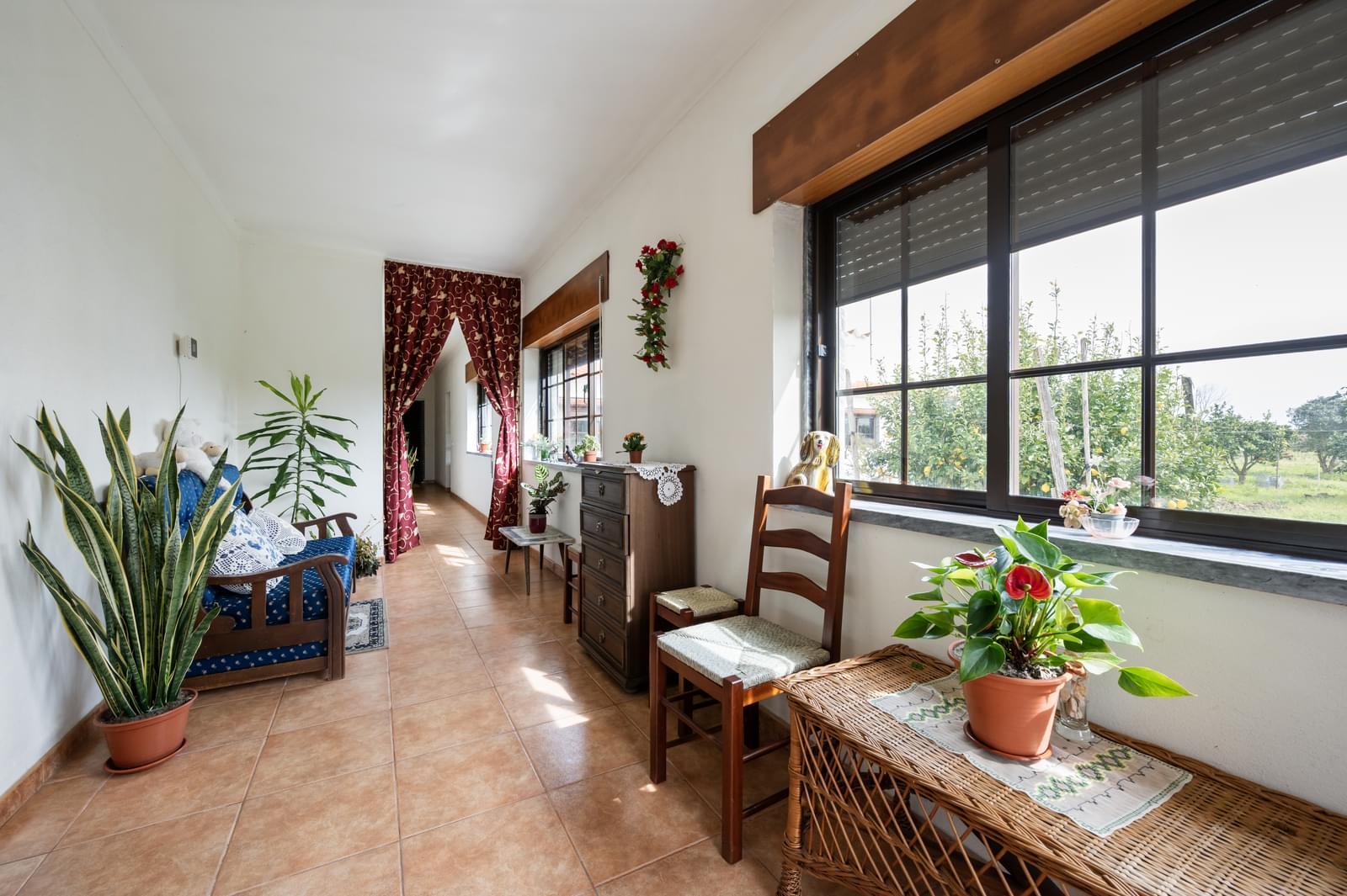 Moradia T3 com jardim, Grandola - Imagem 17