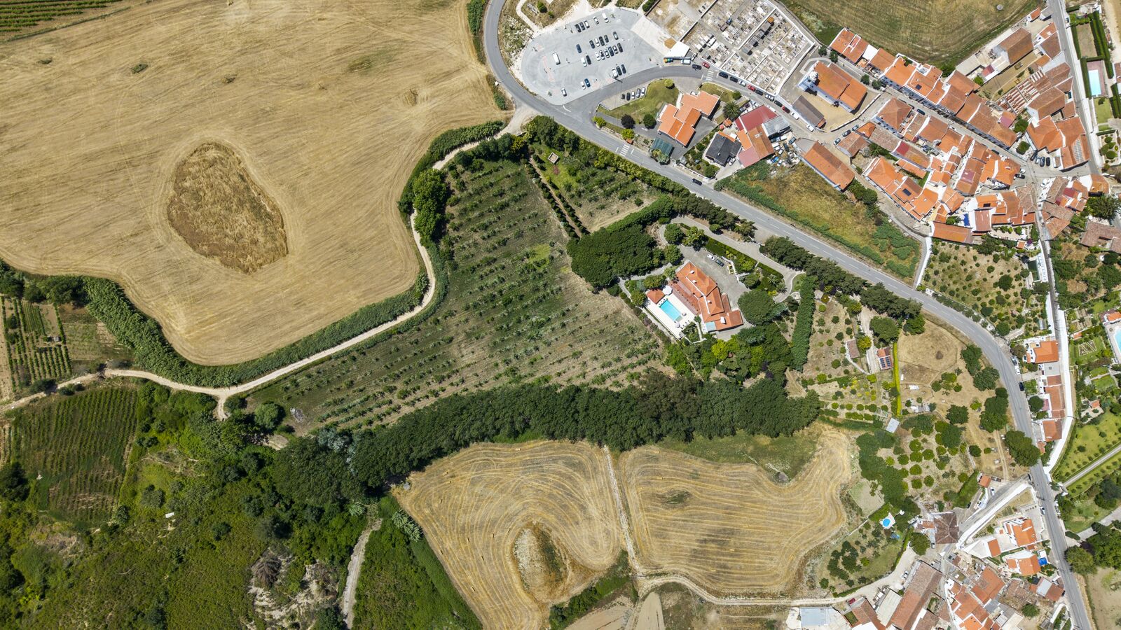 Quinta 4.2 ha, Torres Vedras - Imagem 40