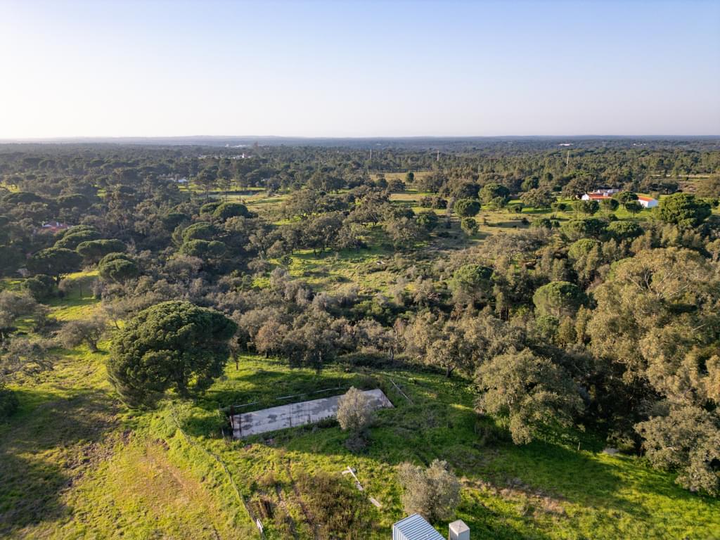 Mixed land 1.8 ha, Melides, Grandola 3676598179