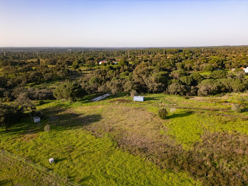 Mixed land 1.8 ha, Melides, Grandola 3676598179