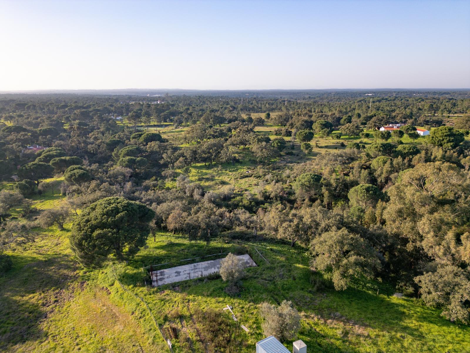 Terreno Misto 1.8 ha, Melides, Grandola - Imagem 4