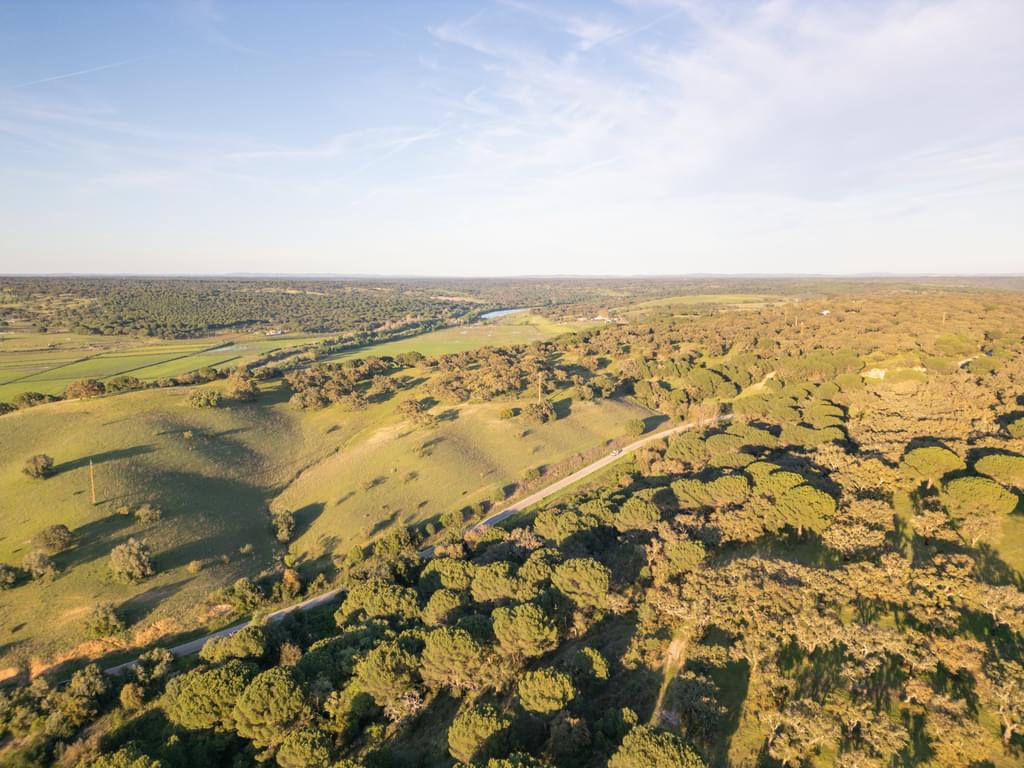 Rural land 33.3 ha, Vale de Guizo, Alcacer do Sal 3482573915