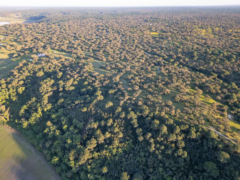Rural land 33.3 ha, Vale de Guizo, Alcacer do Sal 3482573915