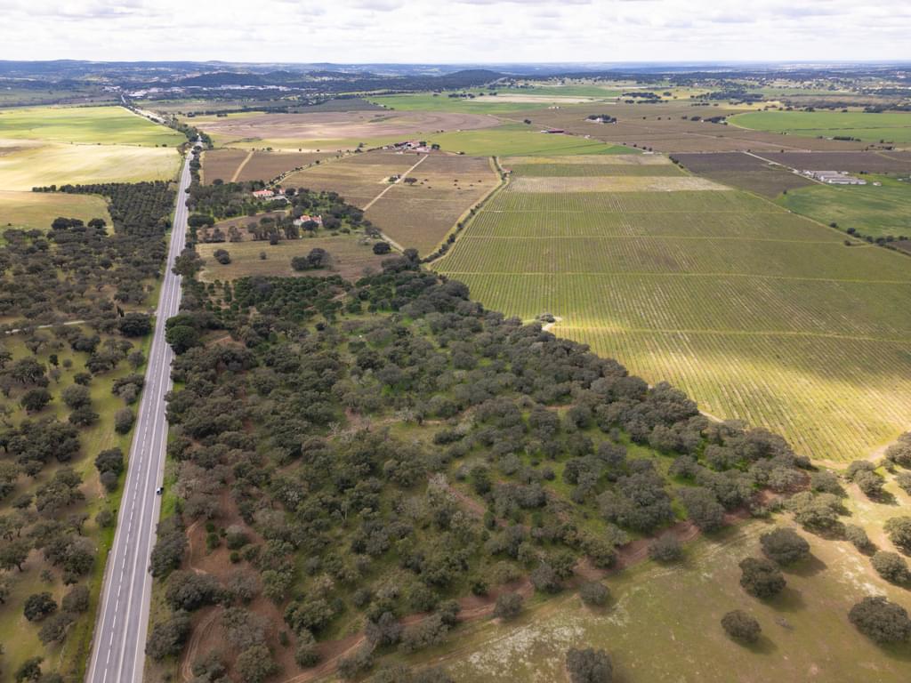 Rural land 7.5 ha, Quinta da Amoreira, Montemor-o-Novo 3224637704