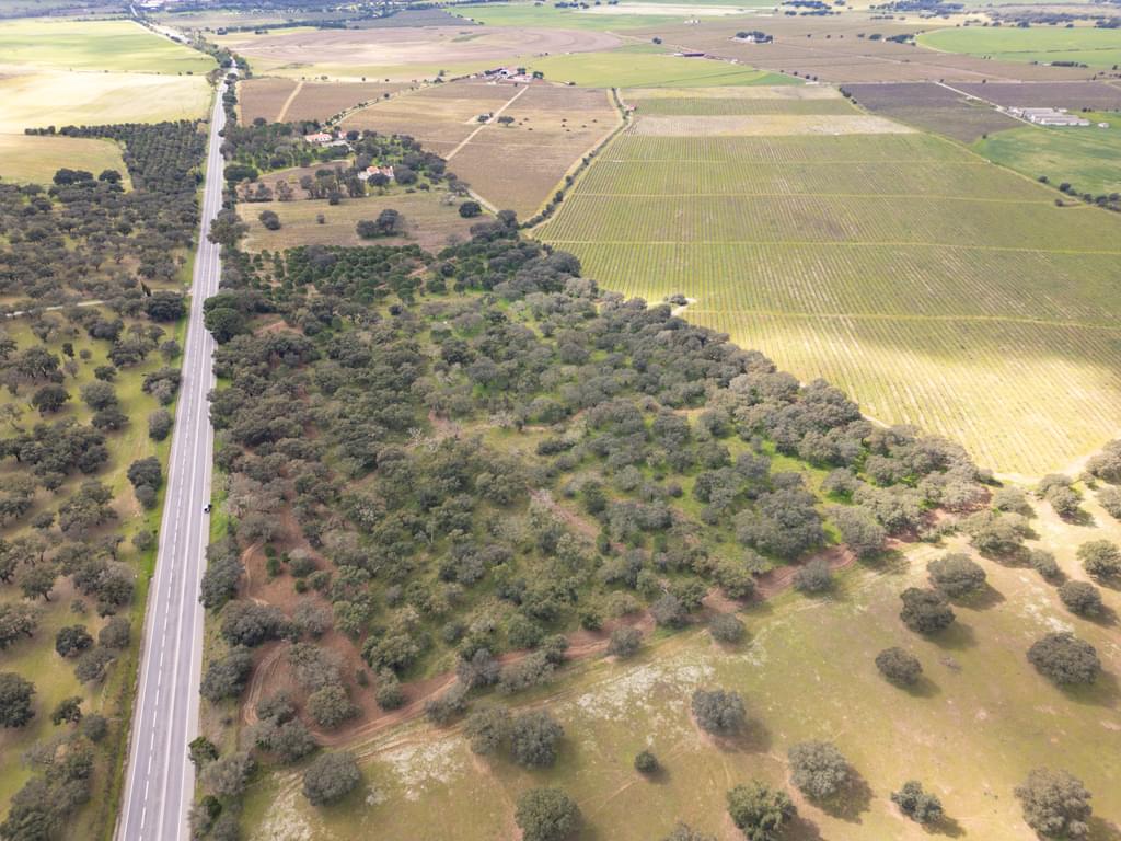 Rural land 7.5 ha, Quinta da Amoreira, Montemor-o-Novo 3224637704