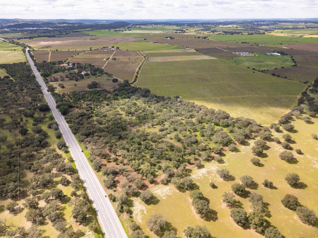 Rural land 7.5 ha, Quinta da Amoreira, Montemor-o-Novo 3224637704