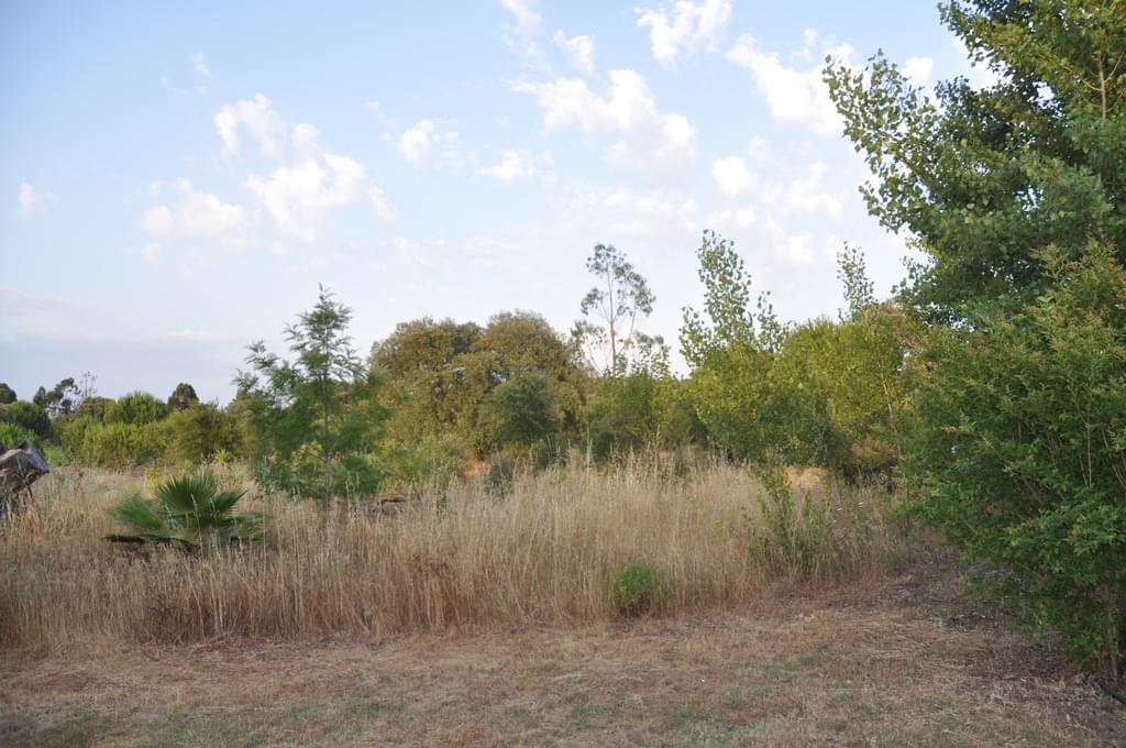 Rural land 7.5 ha, Quinta da Amoreira, Montemor-o-Novo 3224637704