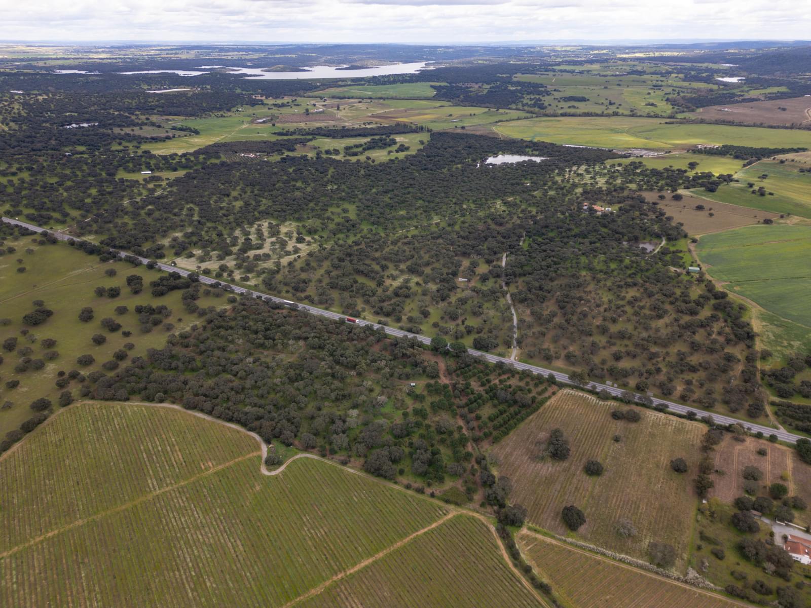 Terreno Rústico 7.5 ha, Quinta da Amoreira, Montemor-o-Novo - Imagem 17