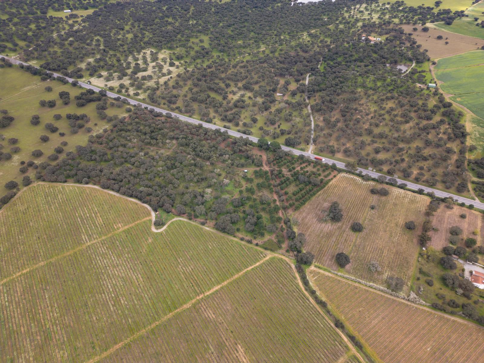 Terreno Rústico 7.5 ha, Quinta da Amoreira, Montemor-o-Novo - Imagem 18