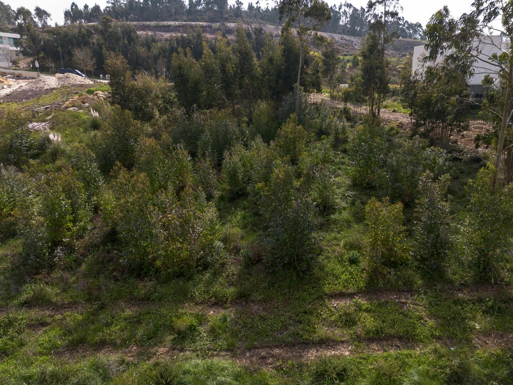 Urban land 722 m2, Belas Clube de Campo, Sintra 690693228