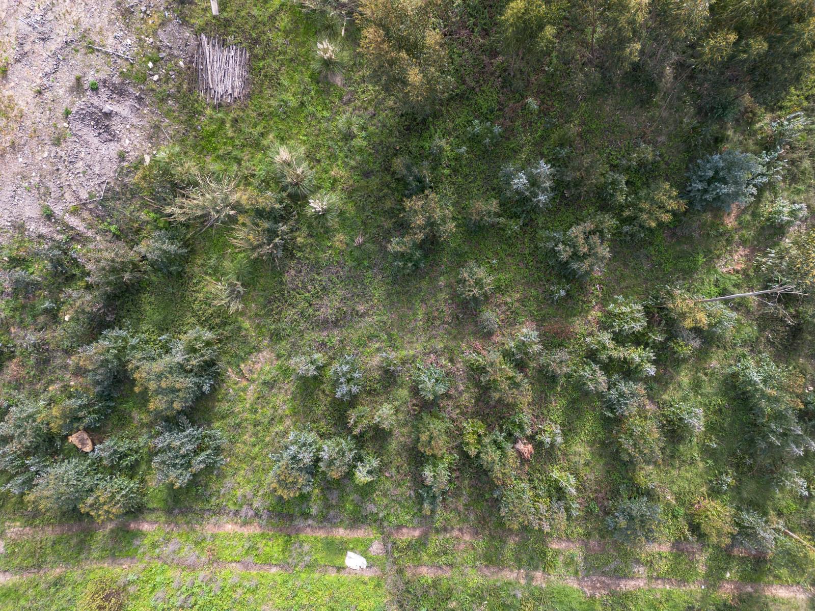 Urban land 722 m2, Belas Clube de Campo, Sintra - Image 11