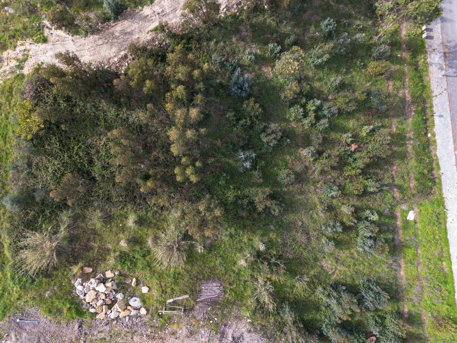Urban land 722 m2, Belas Clube de Campo, Sintra - Image 10