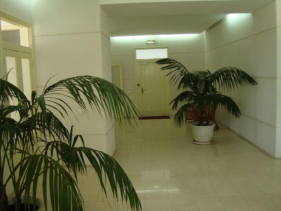 Apartamento T1 com jardim, Monte Estoril, Cascais - Imagem 29