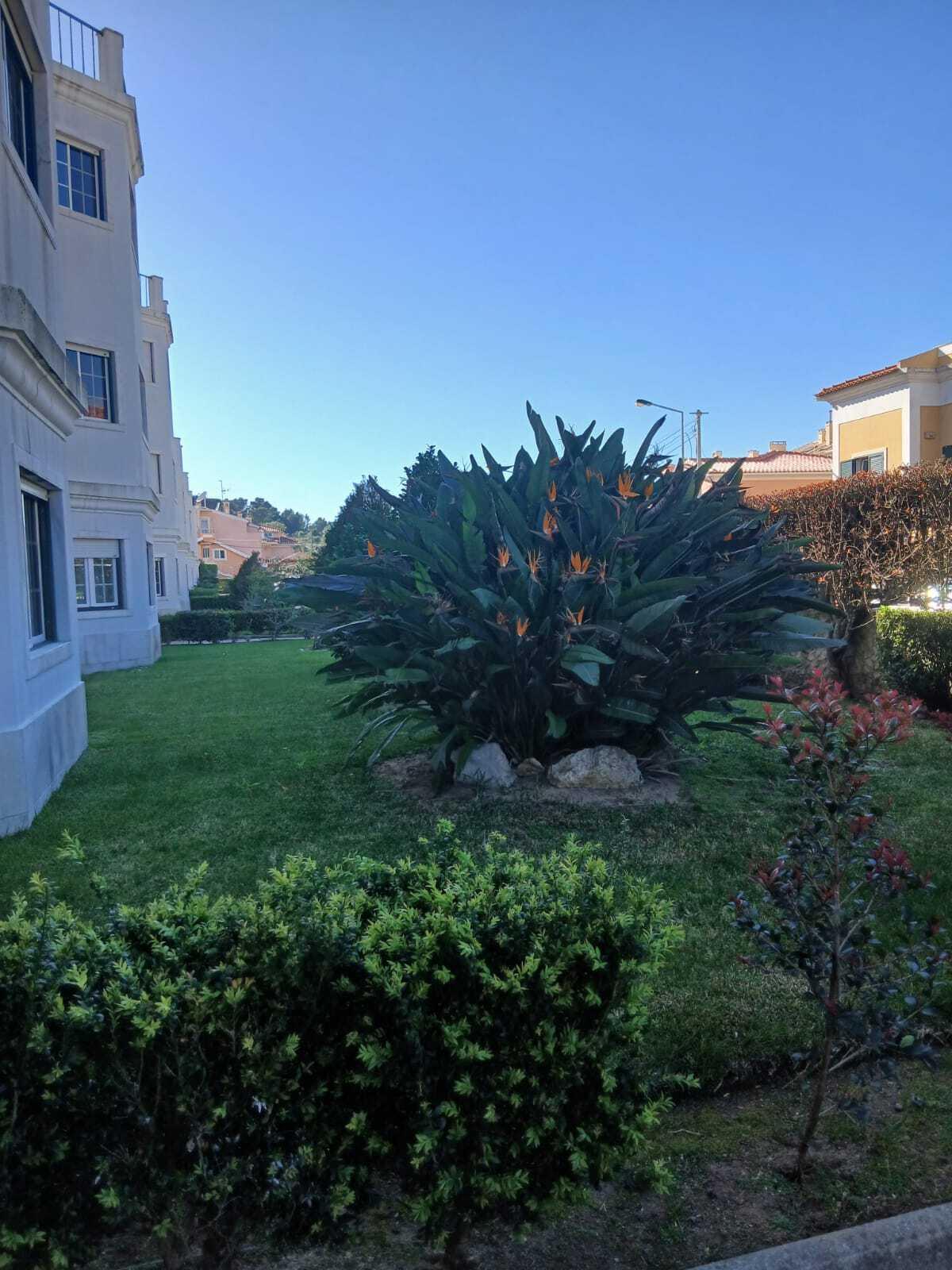 Apartamento T3 com estacionamento, Alapraia, Cascais - Imagem 15