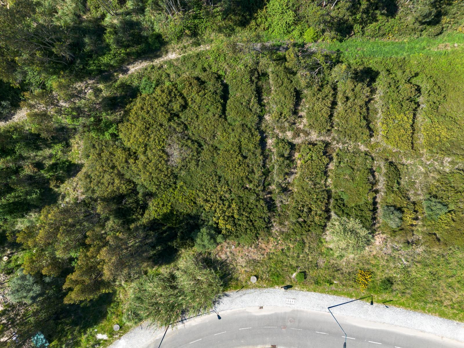 Plot 826 m2, Belas Clube de Campo, Lisboa - Image 7