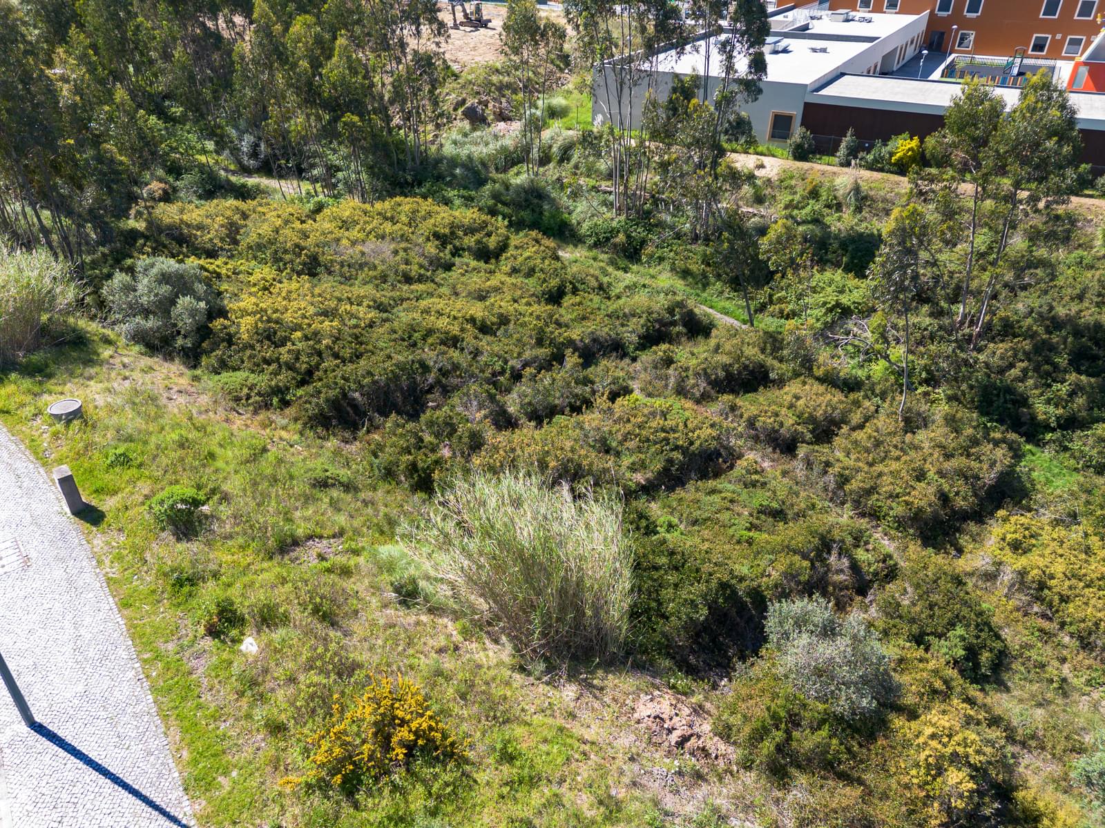 Plot 826 m2, Belas Clube de Campo, Lisboa - Image 9