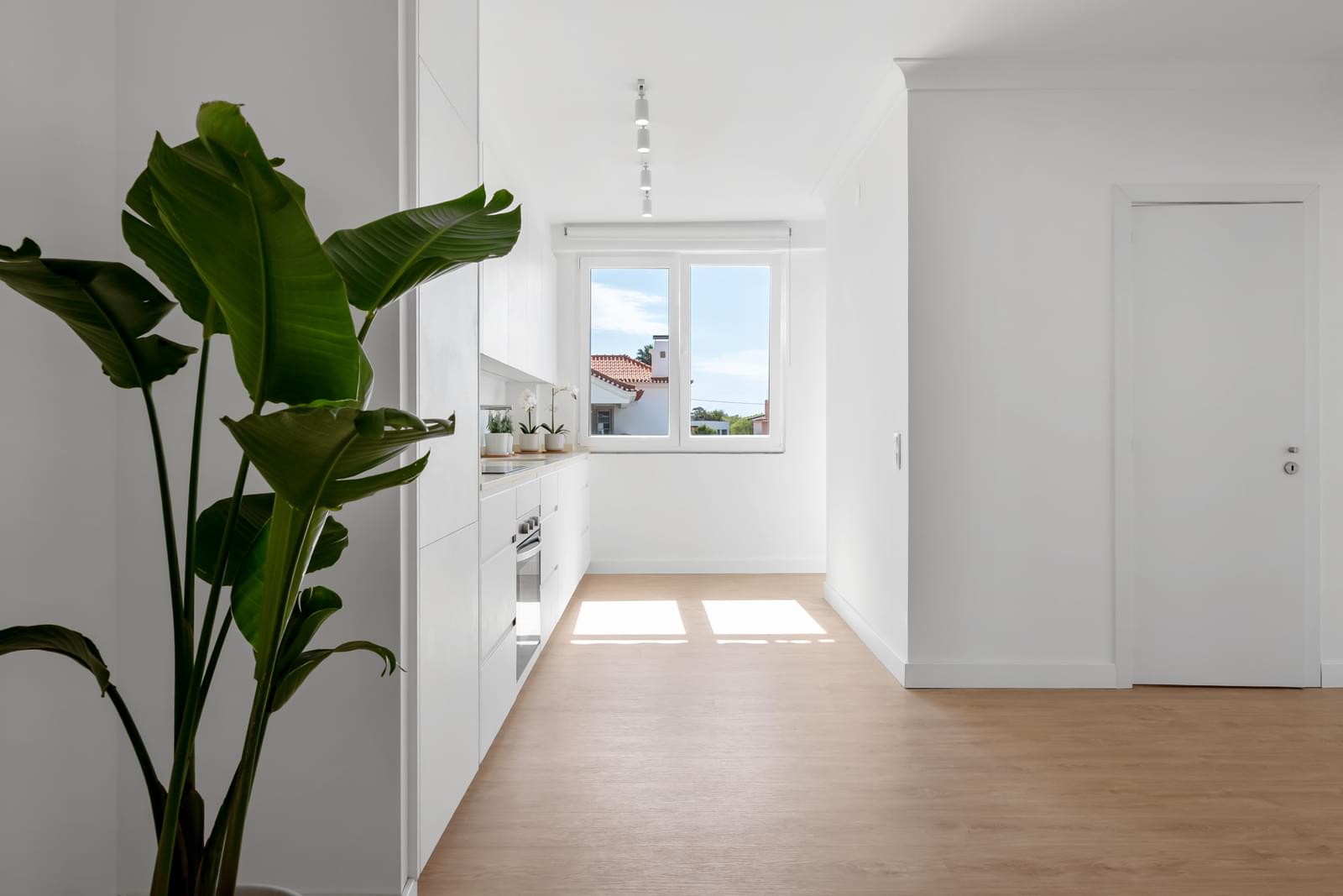 3 Bedroom Apartment/Flat's Image 3