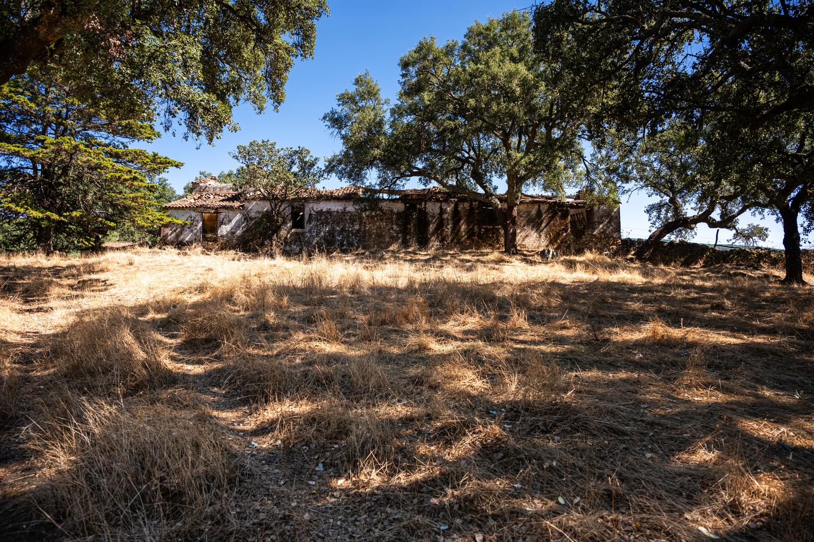 10 Bedroom Farm/Ranch/Plantation's Image 22