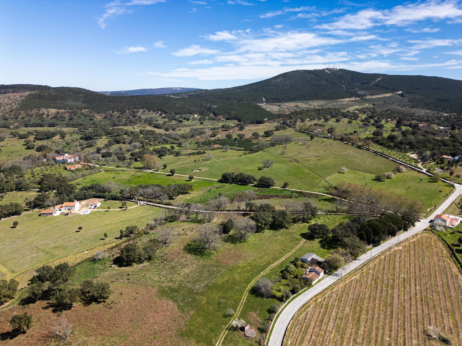 10 Bedroom Farm/Ranch/Plantation's Image 15