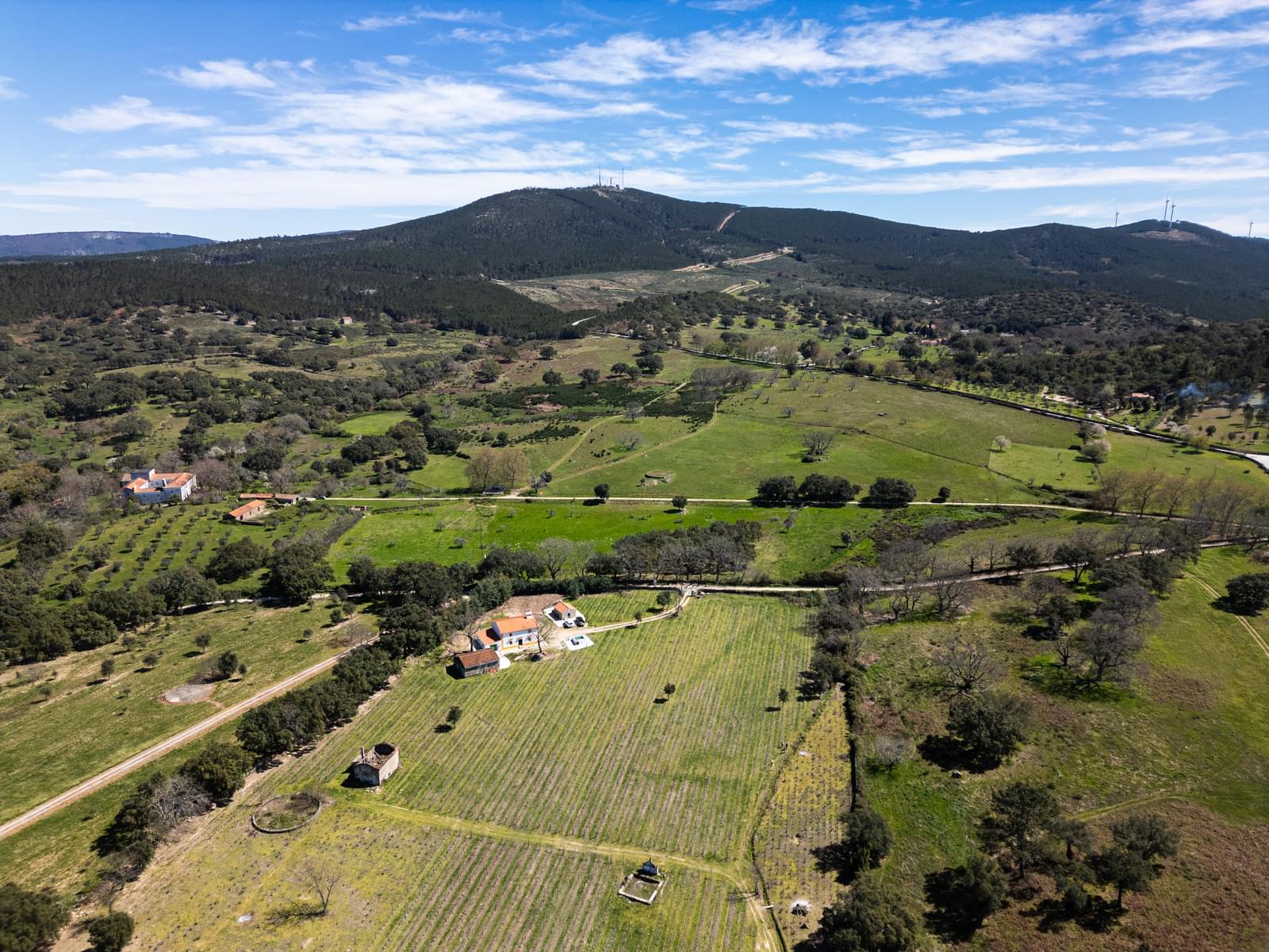 10 Bedroom Farm/Ranch/Plantation's Image 16