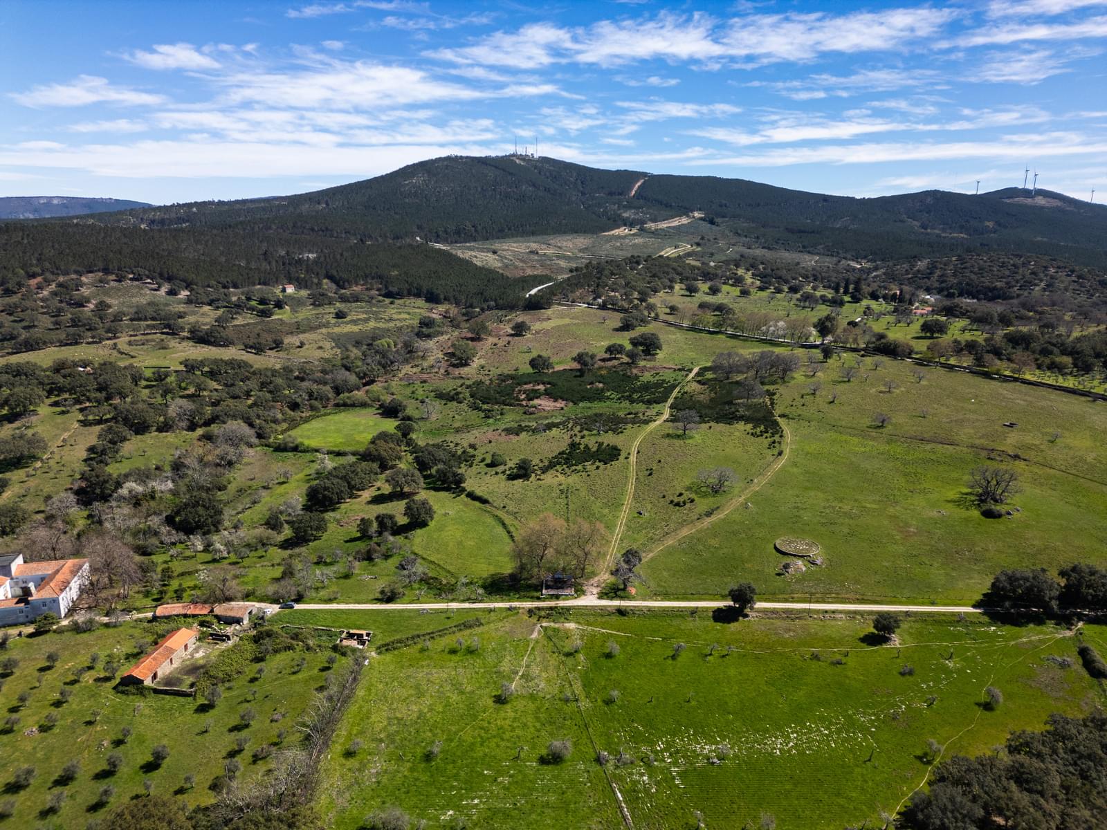 10 Bedroom Farm/Ranch/Plantation's Image 17