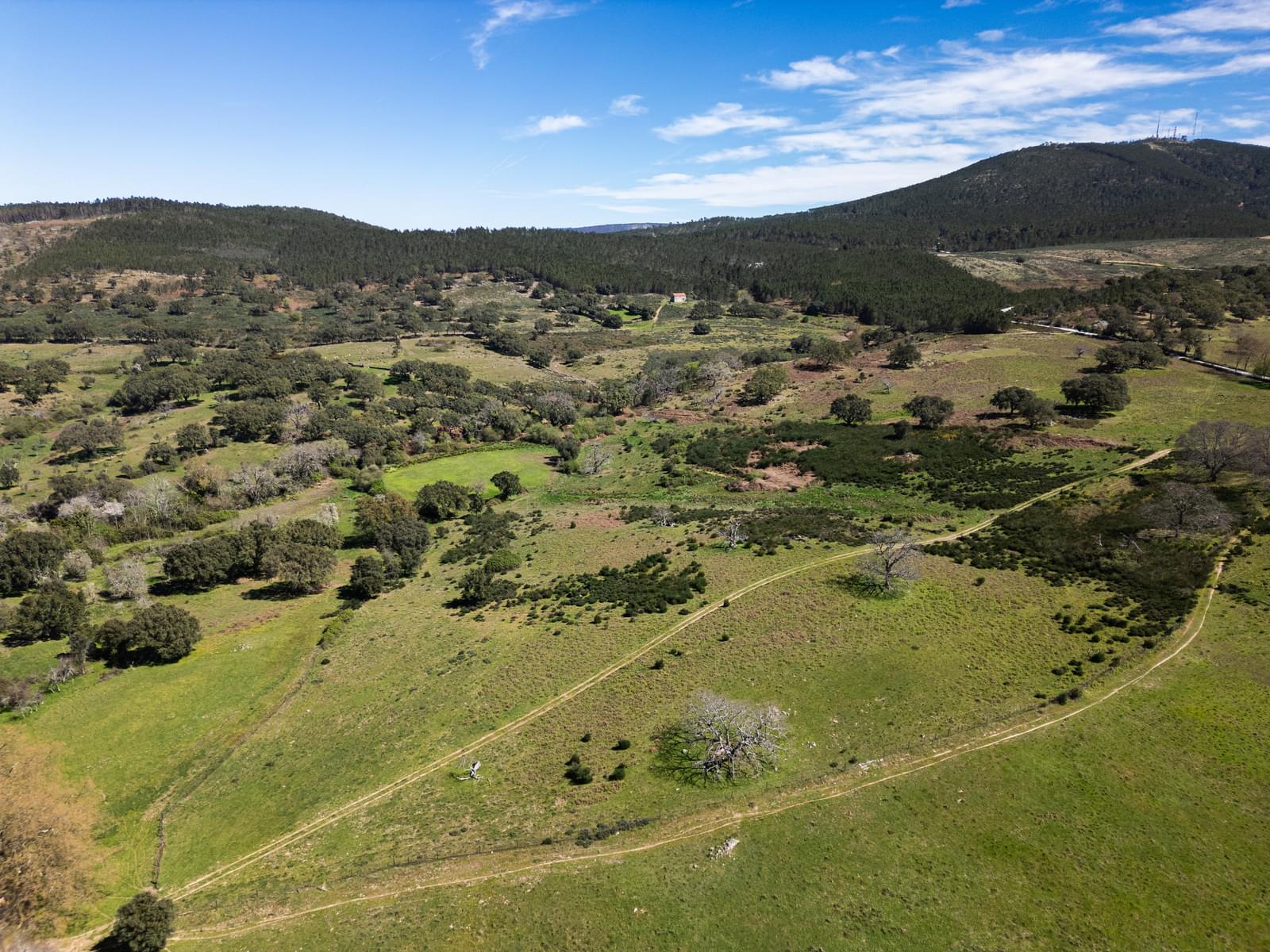 10 Bedroom Farm/Ranch/Plantation's Image 19