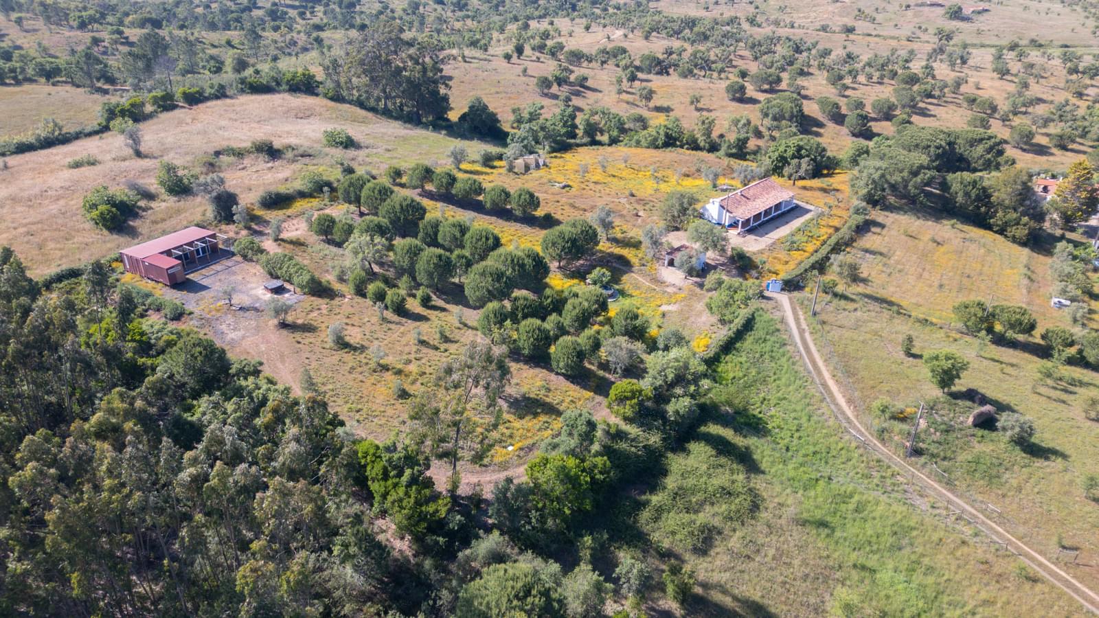 Quintinha 1.5 ha, Santiago do Cacém, Santiago do Cacem - Imagem 39