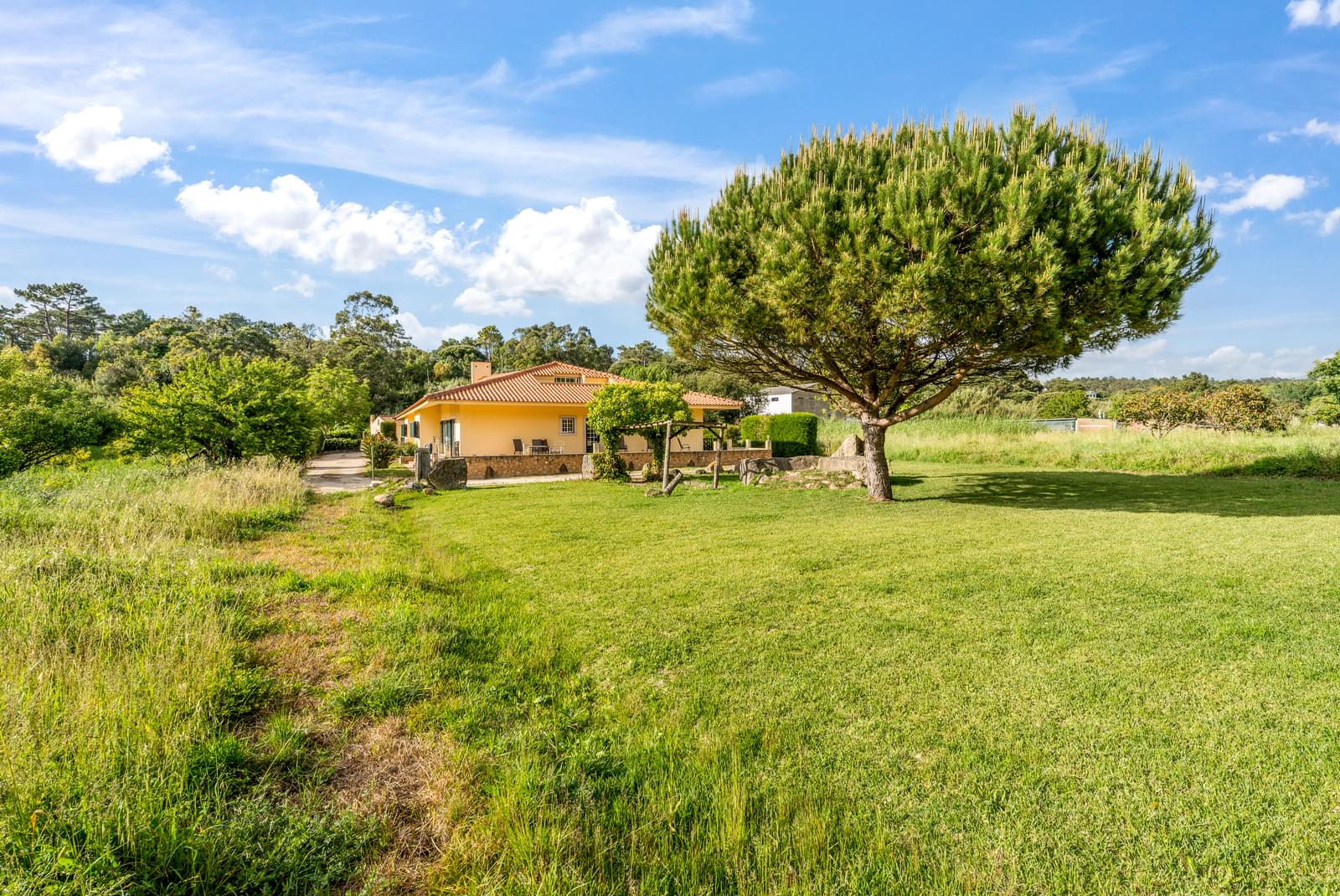 10 Bedroom Farm/Ranch/Plantation's Image 9