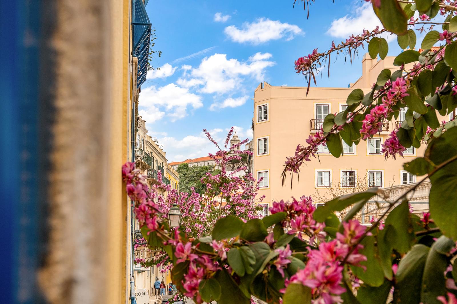 Apartamento T3 + 1, Castelo, Lisboa - Imagem 16