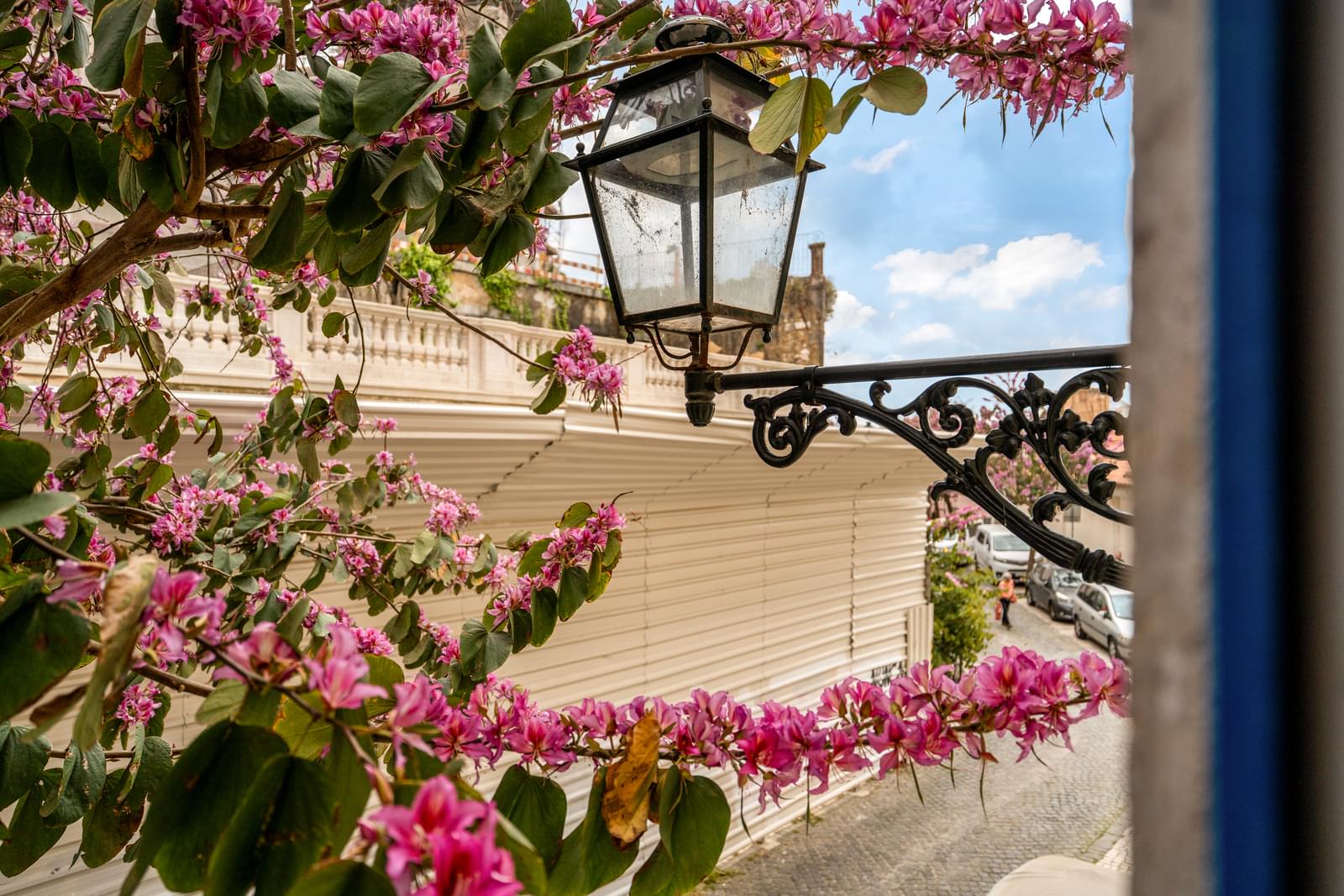 Apartamento T3 + 1, Castelo, Lisboa - Imagem 15