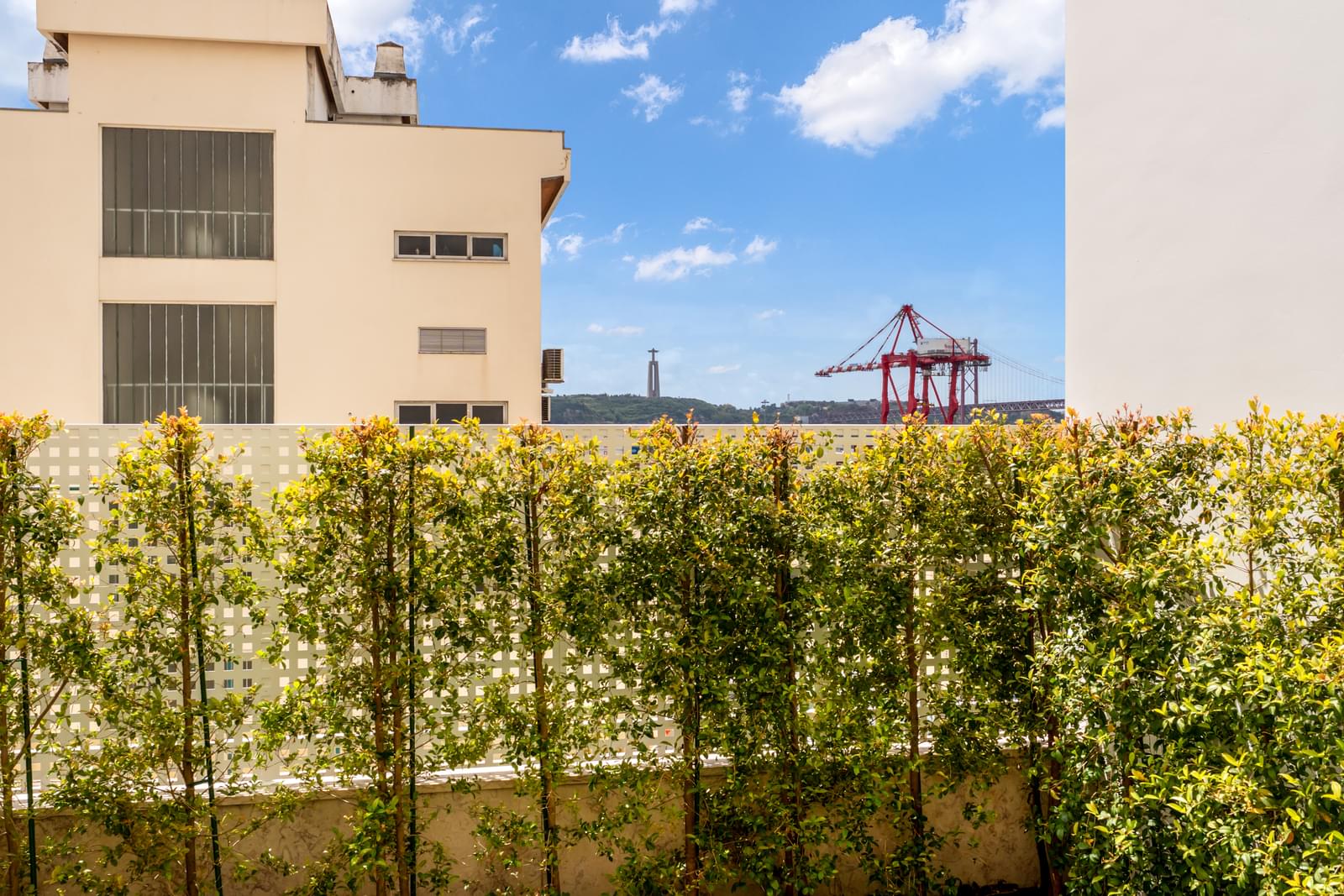 3 Bedroom Apartment/Flat's Image 3