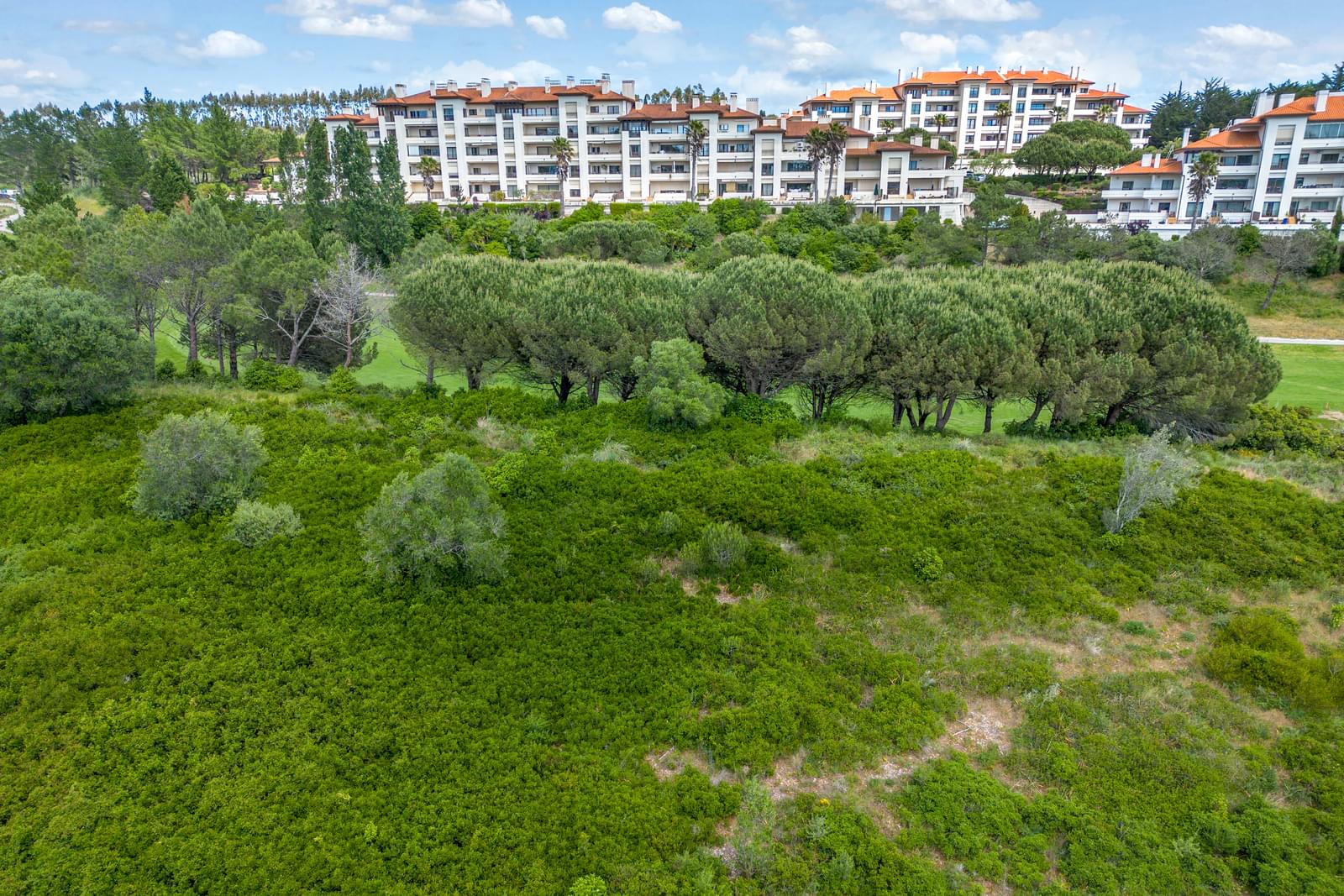 Urban land 5430 m2, Belas Clube de Campo, Sintra - Image 15