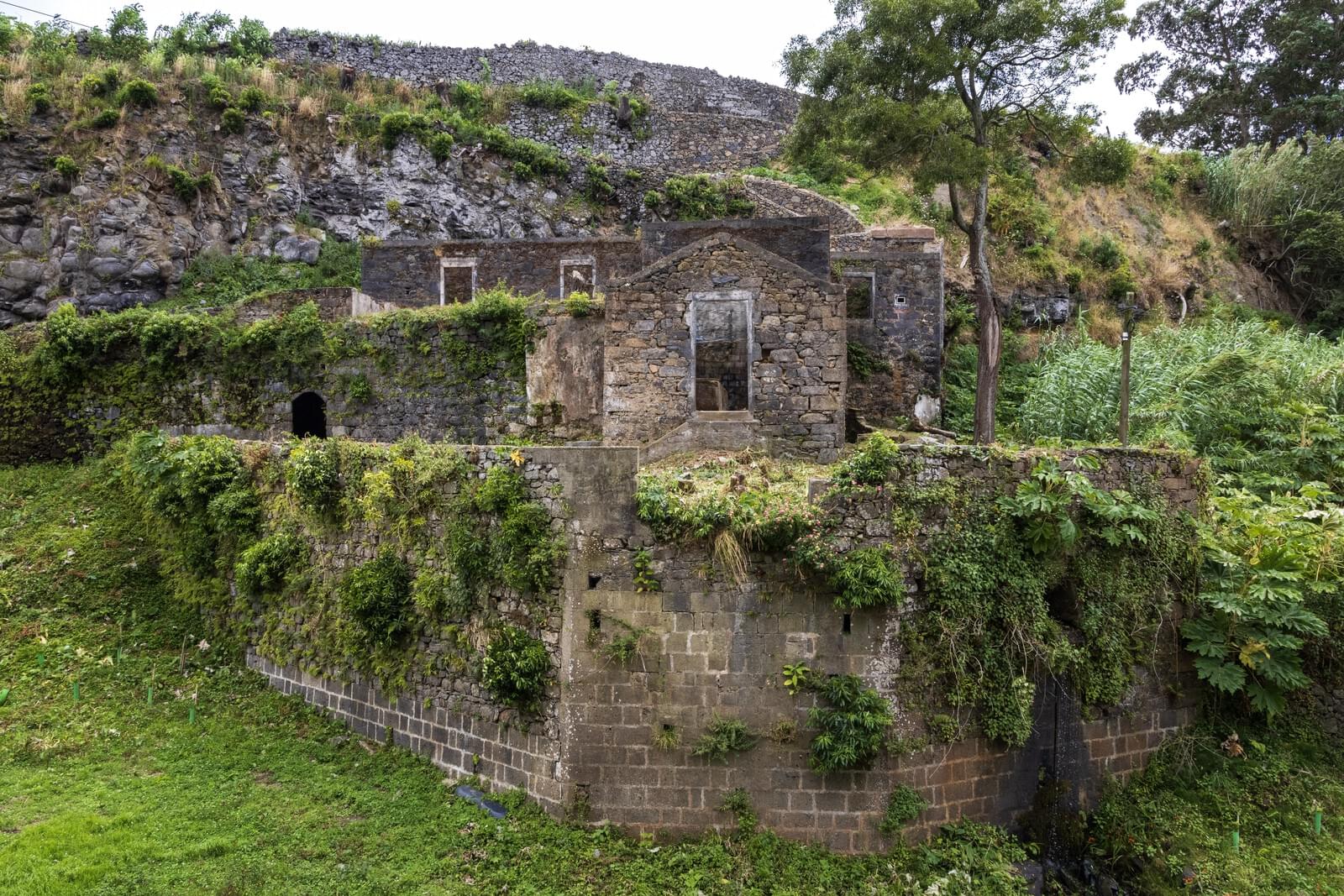 Mãe de Água - Ilha de São Miguel - Image 13