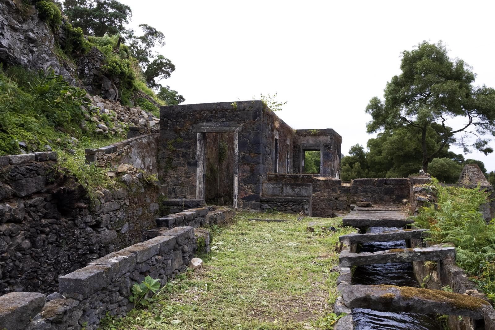 Mãe de Água - Ilha de São Miguel - Image 14
