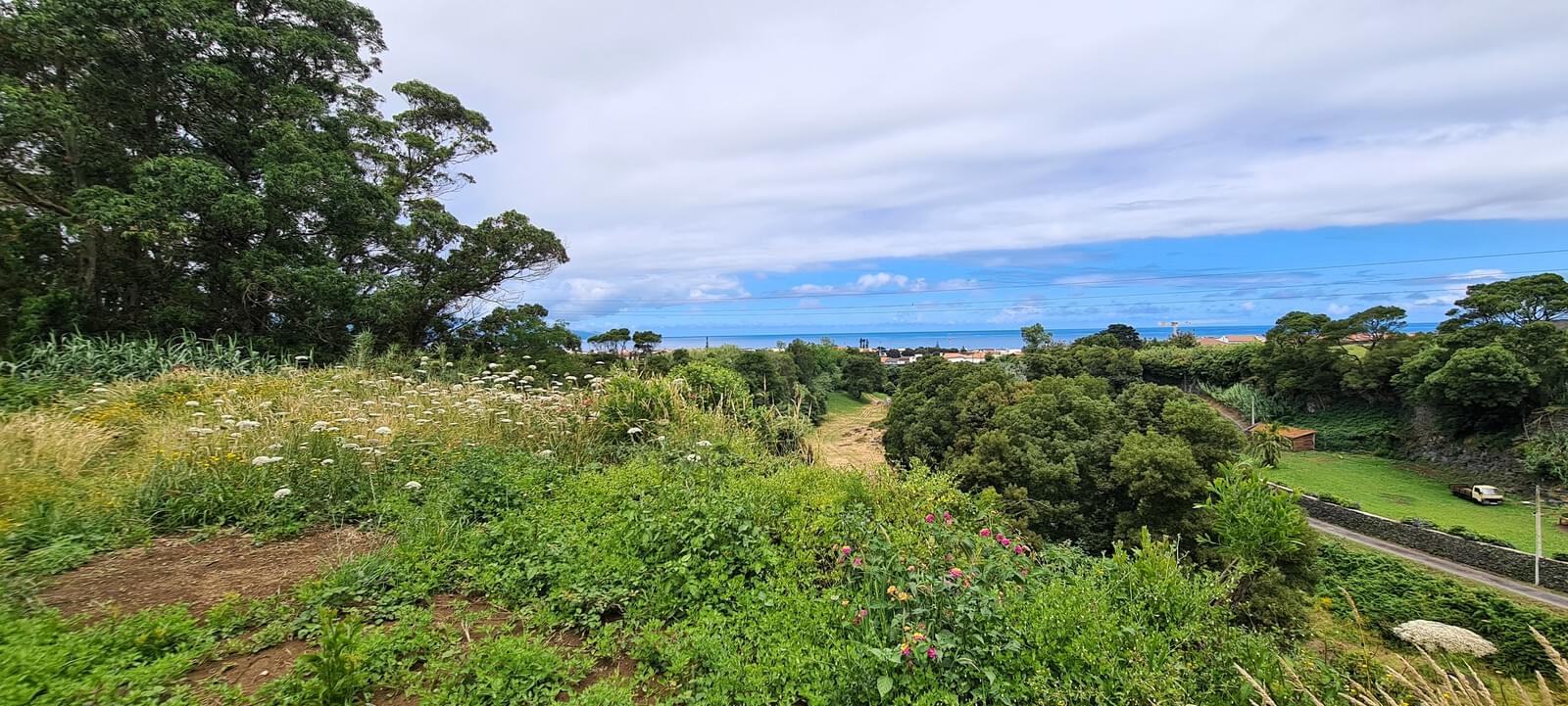 Mãe de Água - Ilha de São Miguel - Image 24